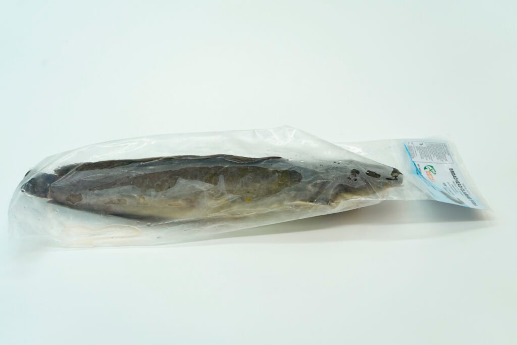 MAGUR (Catfish) - Ethnic Foods | Quality Fish, Seafood & Frozen Foods ...