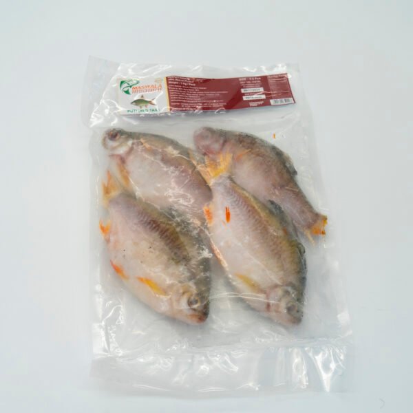 Puti (red Tail)4-5pcs (1kg*10pack)