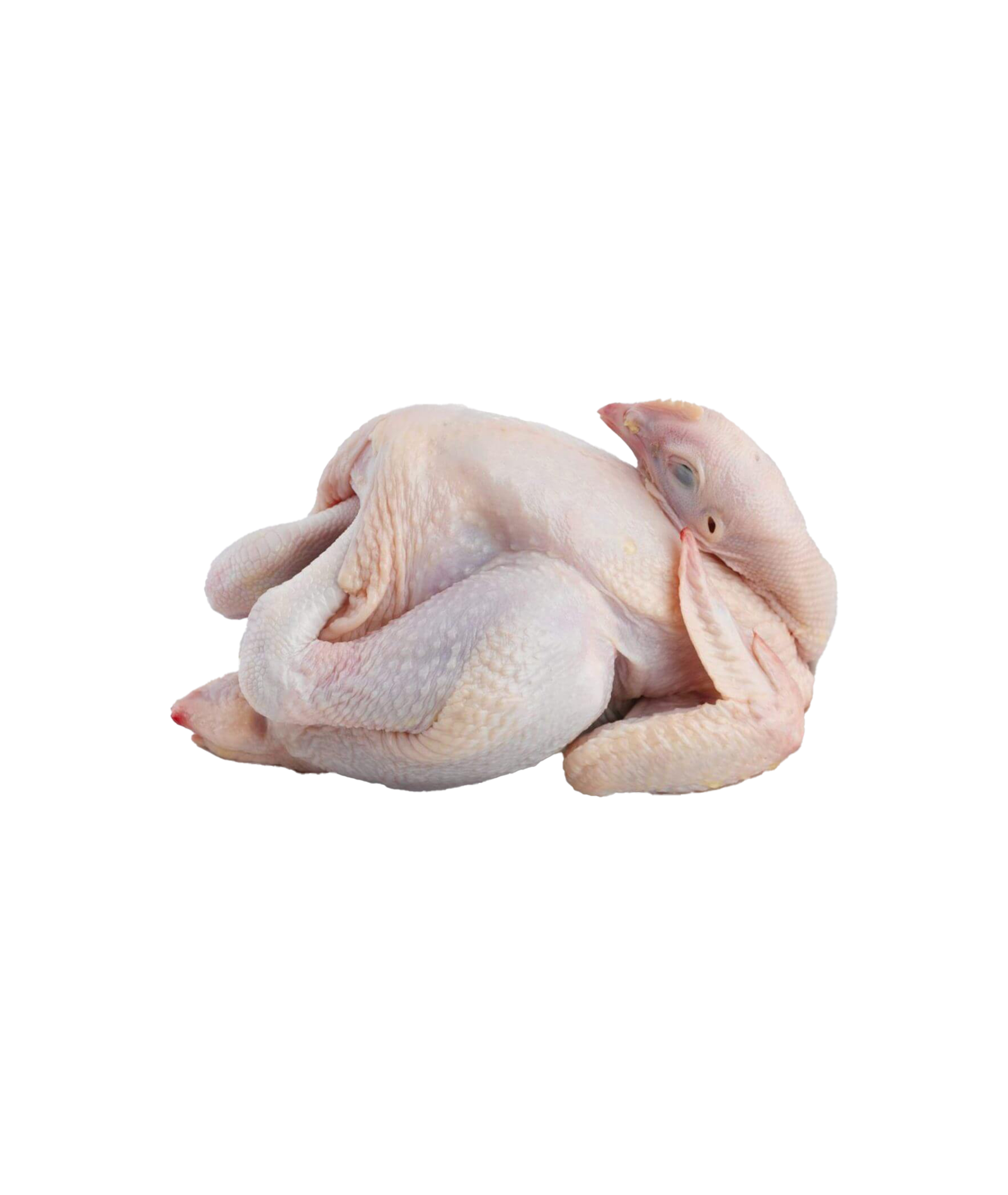 Whole Chicken with head